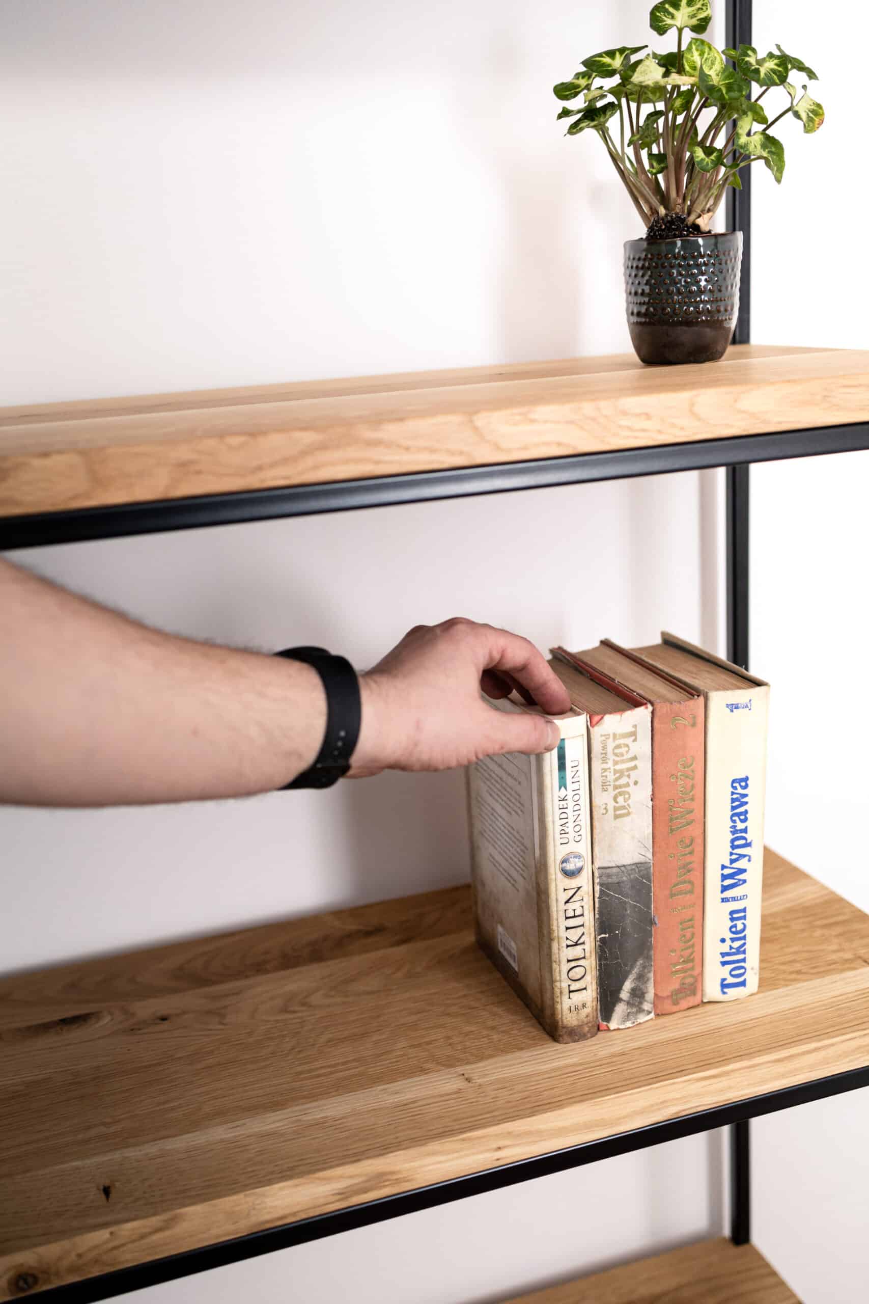 Zbliżenie na półkę regału z książkami i doniczką